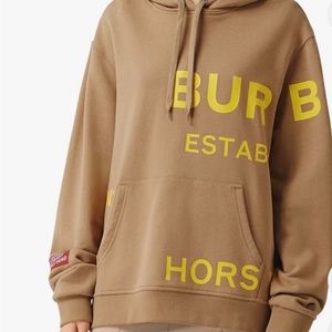 Burberry horseferry hoodie